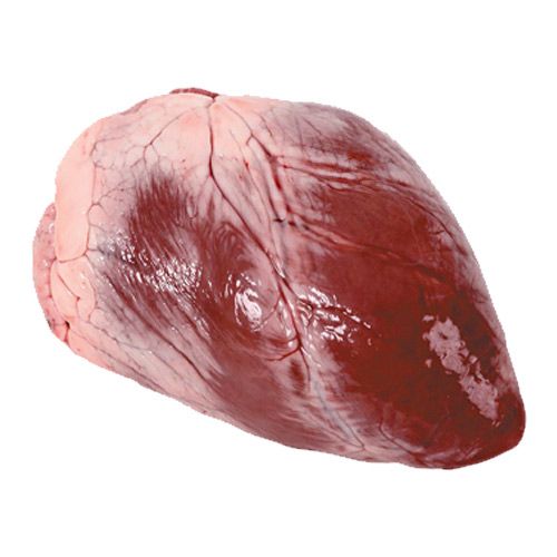 Сердце говяжье