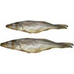 Судак вяленый