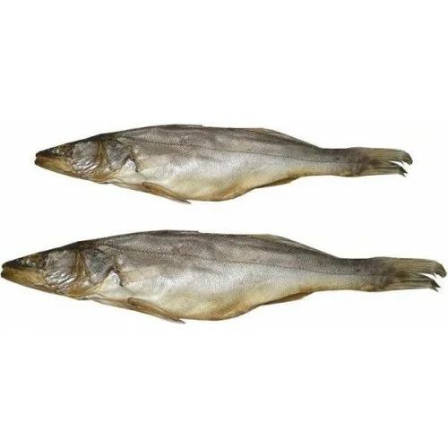 Судак вяленый