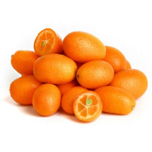 Кумкват Кумкват