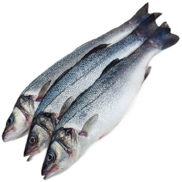 Сибас замороженный