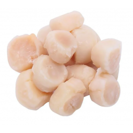 Морской гребешок