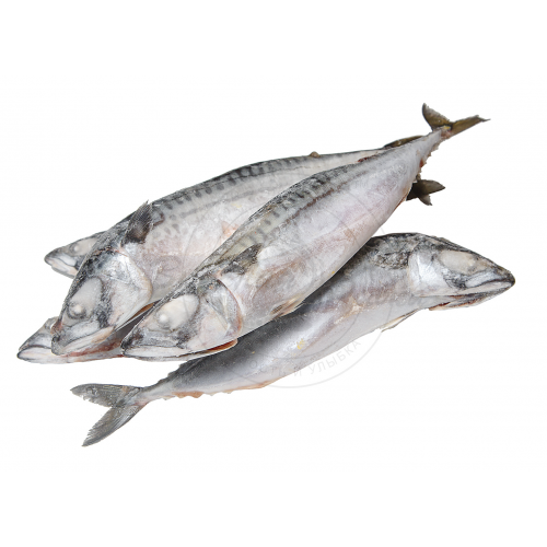 Скумбрия замороженная Скумбрия замороженная