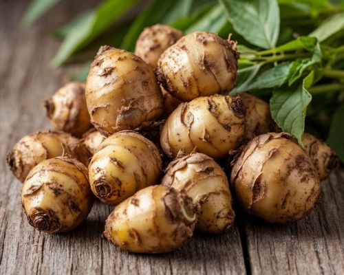 Земляная груша. О пользе топинамбура