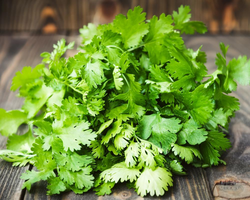 Зелень - витамины прямо с грядки 